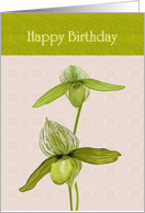 Birthday Green Orchids Against Pink Patterned Background card