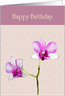 Birthday Orchids...