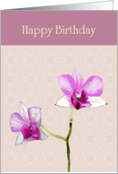 Birthday Orchids Against Pink Patterned Background card