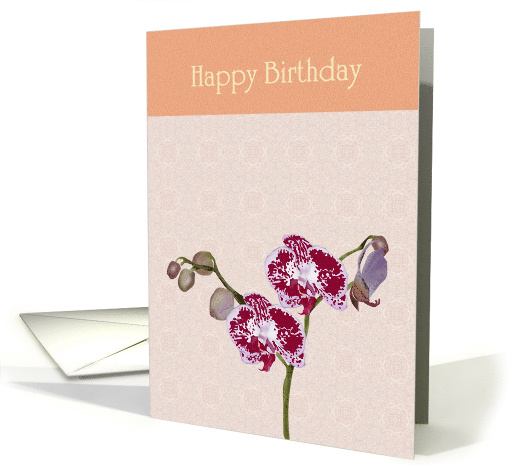 Birthday Orchids Against Pink Patterned Background card (1063923)