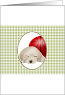 Sleeping Labrador Puppy Laying Next to Basketball Blank card