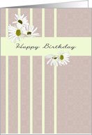 Pretty white daisies on a grey patterned background, Birthday card