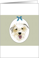 Doggy Eyes Blank card