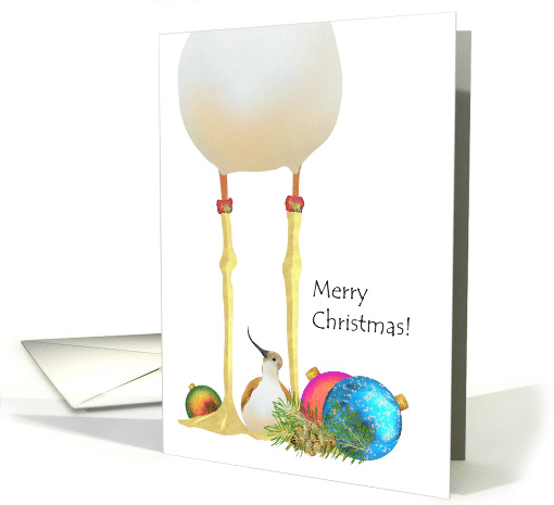 Avocet Christmas Adult And Chick And Ornaments card (1067273)