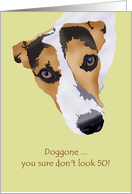 50th Birthday Doggone You Don’t Look It Jack Russell card