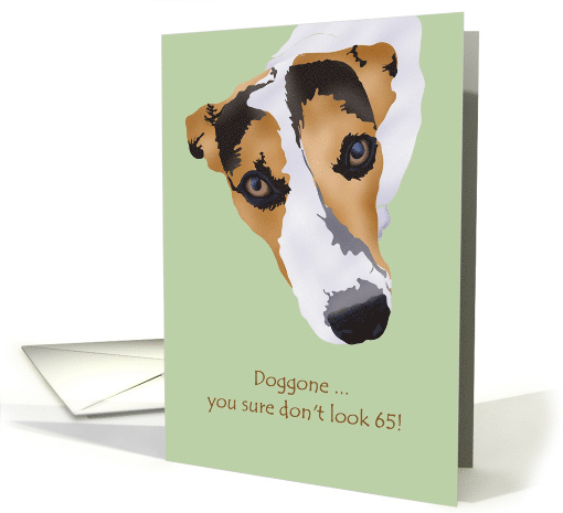 65th Birthday Doggone You Don't Look It Jack Russell card (1081910)