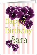 Birthday For Sara Purple Pansies Pink And White Stripes card