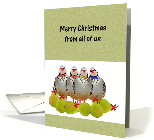 Christmas From All of Us Partridges and Pears card (1089092)