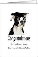 Graduation for Son Boston Terrier Wearing Graduate Cap card