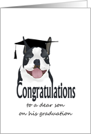 Graduation for Son Boston Terrier Wearing Graduate Cap card
