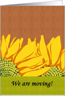 Sunflower moving announcement, sunflowers against wood panel card