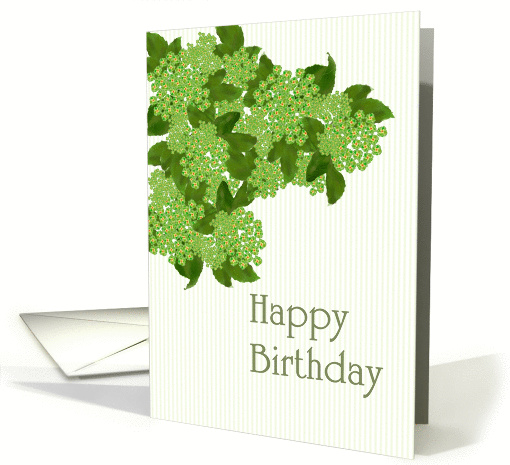 Birthday, green floral clusters card (1101652)