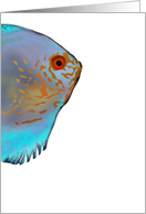 Colorful Tropical Fish Blank card