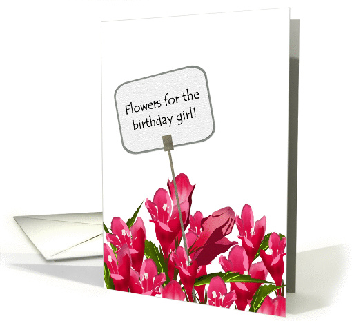 Birthday for her, flowers for birthday girl, weigela card (1108656)
