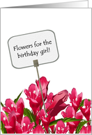 Birthday for her, flowers for birthday girl, weigela card