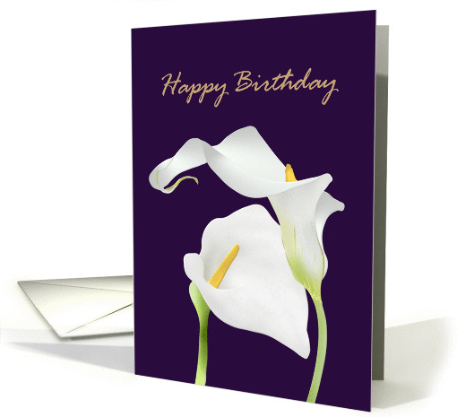 Birthday white calla lily flowers card (1146576)