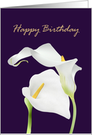 Birthday white calla lily flowers card