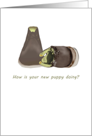 Congratulations New Puppy Chewed Shoes card