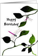 Birthday Abstract Foliage And Dragonflies card