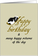 Birthday Baby Skunk Asleep card