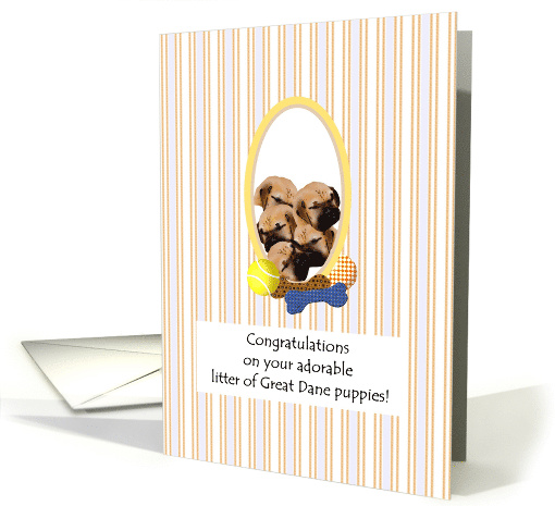 Congratulations on Litter of Great Dane Puppies card (1214236)