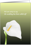 Wedding Called Off...