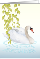 Birthday Graceful Swan On The Water card