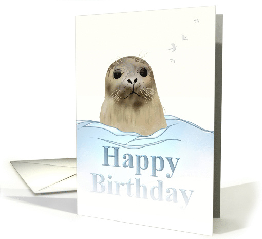 Cute Seal Birthday Seal In Open Waters card (1220136)