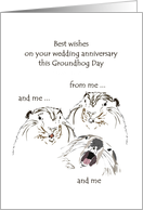 Wedding Anniversary on Groundhog Day Wishes from the Groundhogs card