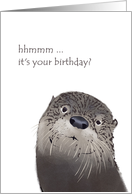 Cute River Otter Birthday card