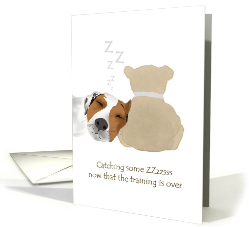 Thank You To Dog Trainer Cute Dog Asleep Head Against Teddy Bear card