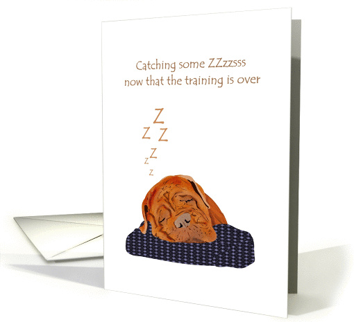 Thank you dog trainer, Dogue de Bordeaux asleep on pillow card