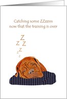 Thank you dog trainer, Dogue de Bordeaux asleep on pillow card