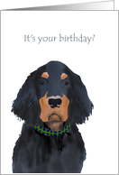 Gordon setter birthday, woof! card