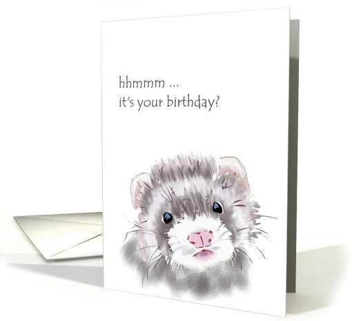 Birthday, inquisitive ferret card (1268928)