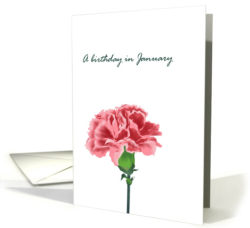 Birthday in January Carnation Birth Month Flower Pink Carnation card