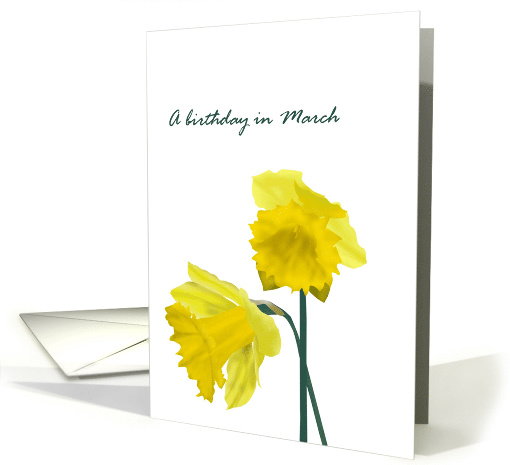 Birthday in March Daffodil Birth Month Flower Yellow Daffodils card