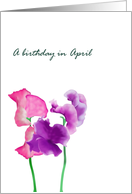 Birthday in April Sweet Pea Birth Month Flower Sweet Peas card