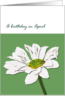 Birthday in April Daisy Birth Month Flower Pretty Daisy card