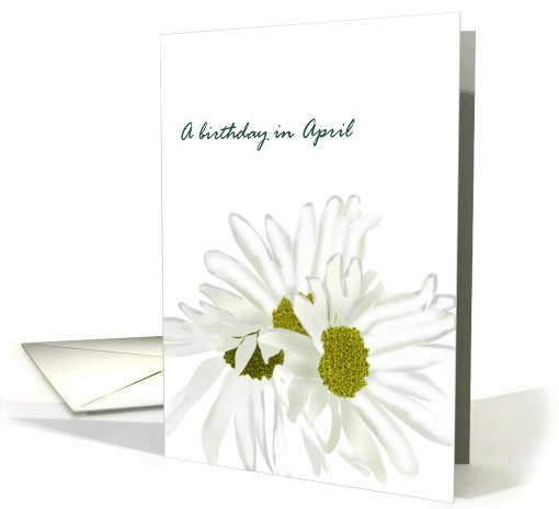 Birthday in April Daisy Birth Month Flower Pretty White Daisies card