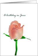 Birthday in June Rose Birth Month Flower Pretty Pink Rose card