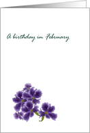 Birthday in February Violet Birth Month Flower Pretty Violets card