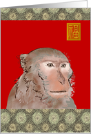 Birthday Year of The Monkey Chinese Zodiac The Inquisitive Monkey card