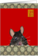 Birthday Year of the Rat Chinese Zodiac The Curious Roof Rat card