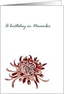 Birthday in November Chrysanthemum Birth Month Flower card