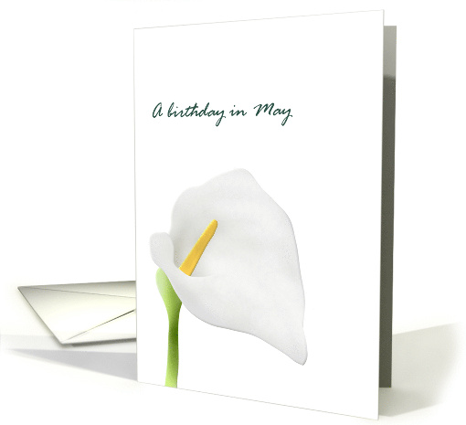 Birthday in May Lily Birth Month Flower Pretty Calla Lily card