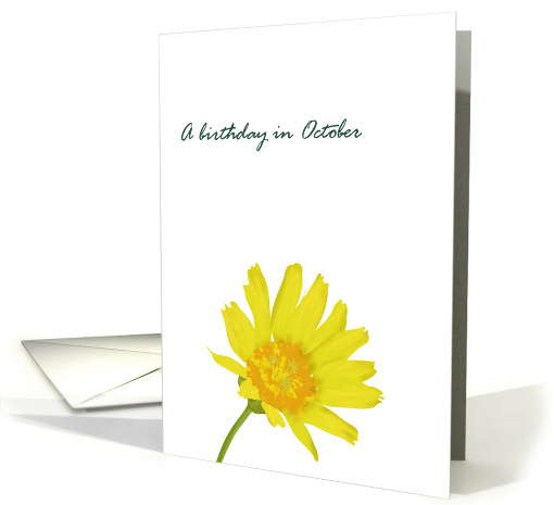 Birthday in October Calendula Birth Month Flower Pretty Marigold card