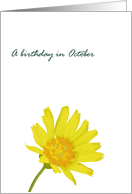 Birthday in October, Calendula birth month flower, pretty marigold card