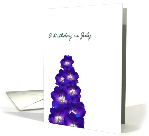 Birthday in July Larkspur Birth Month Flower Pretty Delphinium card