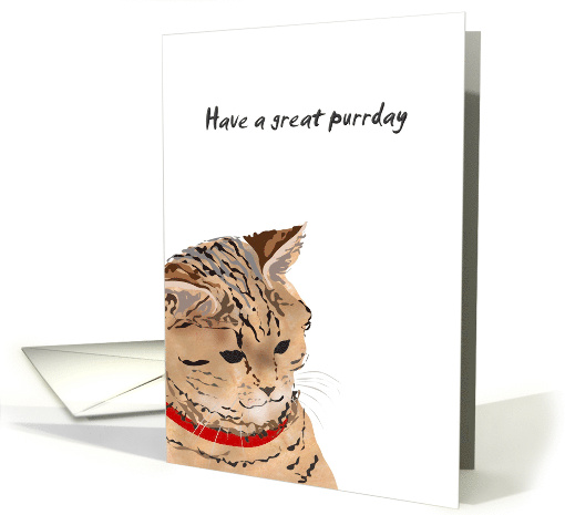 Happy Purrday Cat in Red Collar Birthday card (1293684)